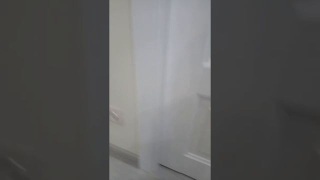 Белые двери Альбера
