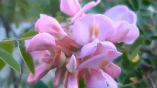 ИЗМЕНЕНИЯ В ВОСПРИЯТИИ ВО ВРЕМЯ ПЕРЕХОДА