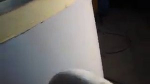 Ввод сыпучих в реактор 630 литров ТМ ПРОМВИТ
