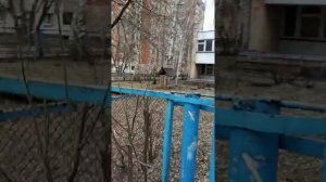 Нехватка детских садов. Химки, район Левобережная