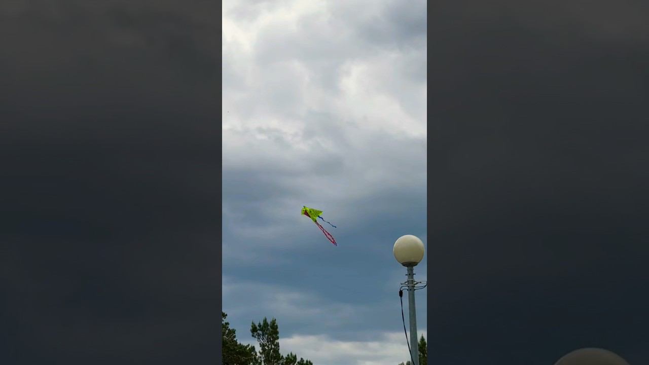 ЗАПУСКАЛ ВОЗДУШНОГО ЗМЕЯ?рекомендации like love top подпишись топ рек лето тренды reels