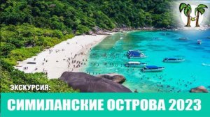 Симиланы 2023 Сезон открыт!!! Черепаха на Симиланских островах. | Similan Islands Tour 2023