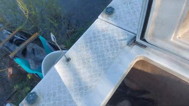 500кг СОМ ЕВРОПЕЙСКИЙ 1.0- 3.0кг смотреть онлайн