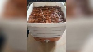 Чипсы из курицы в сушилке дегидраторе #рецепт #чипсы #филе #мясо #курица #еда #promangali #cooking