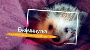День рождения с Ежами - забавное мероприятие!