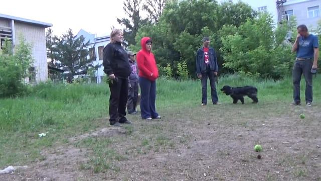 Потоковская сходка смотреть онлайн