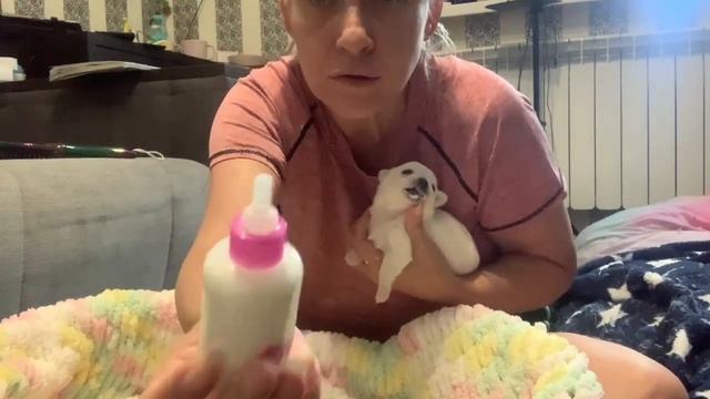 Как кормлю щенков из бутылочки. смотреть онлайн