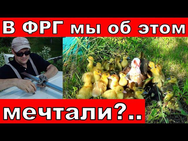 Из Германии в Россию/Прибавление в хозяйстве!