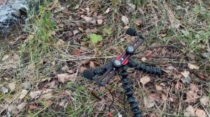 Полевая запись на рекордер Sony PCM D100 / Запись звуков природы