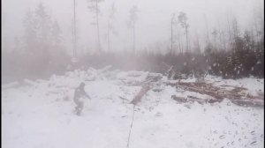 За дровами на Газ 66. Работа в делянке.