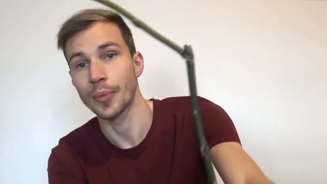 Phalaenopsis Spikes Explained смотреть онлайн