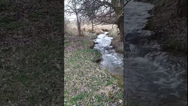 Много ли нужно человеку для счастья.