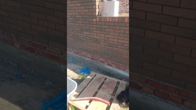 Самый главный строитель.