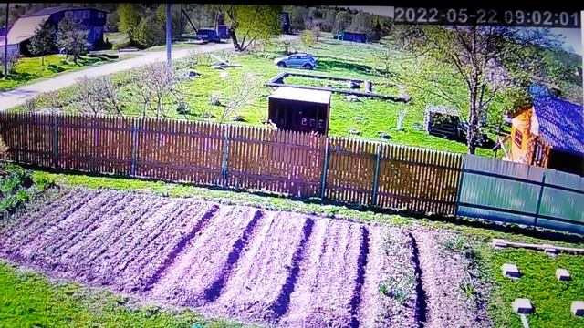 С камеры наружного наблюдения . смотреть онлайн