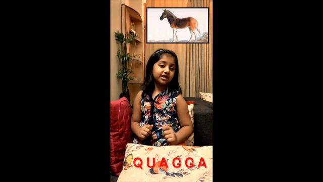 Extinct Animals - Quagga смотреть онлайн