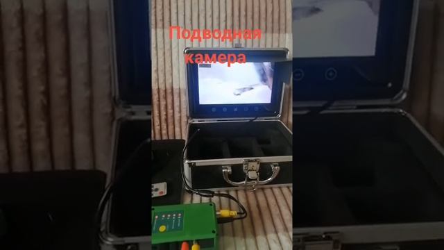 Подводная камера с Али смотреть онлайн