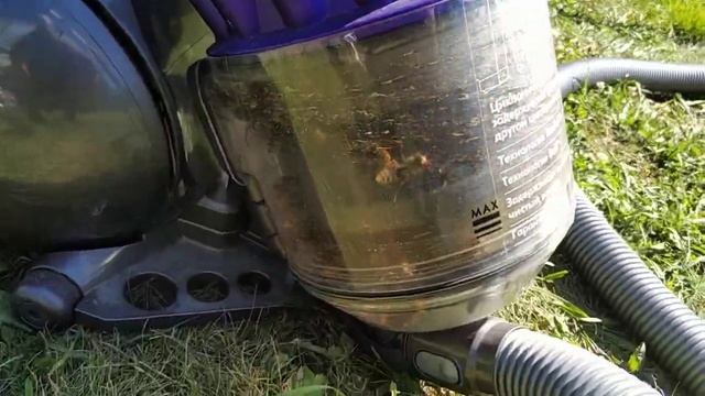 Шершни на даче.Часть первая. Быстрый способ избавиться от шершней. смотреть онлайн