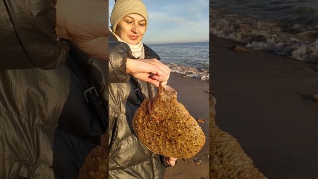 Черное море камбала сегодня