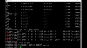 Разжёванный курс по Linux для чайников. Часть 2_2