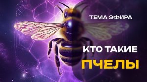 Кто такие пчелы? Рэйки пчел Магия пчел