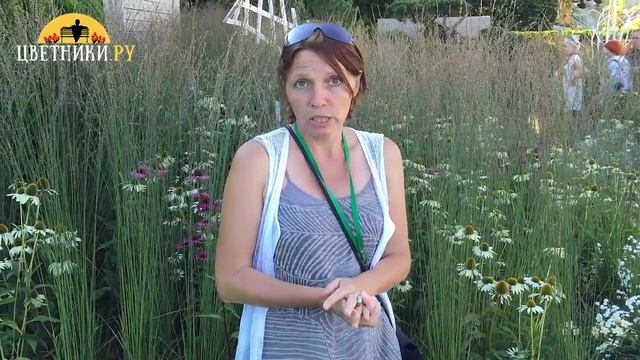 Отзыв ландшафтного архитектора о применении коры лиственницы для мульчирования сада. «ЦВЕТНИКИ РУ» смотреть онлайн