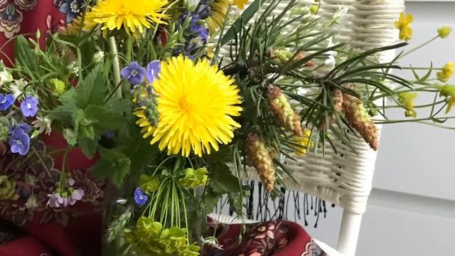 Шаль Майя. Музыка солнца и ДиДюЛя. смотреть онлайн