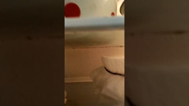 Температурный режим в холодильнике