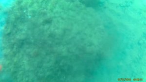 Нырял и нашел античные колонны  Коп под водой