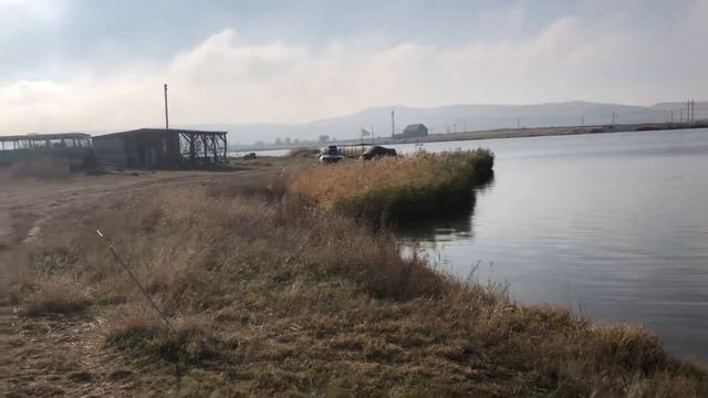 Просянка, водоём разлив, буди карпфишинга