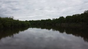 река Сура