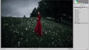 «Gala» - Lightroom & ACR Preset Pack - Marat Safin