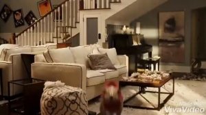 Элвин и бурундуки 4