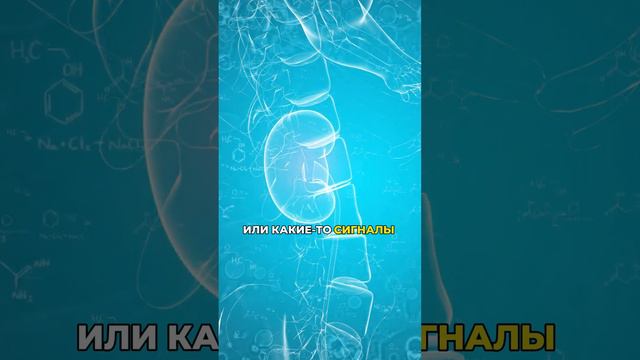 🤫 Ваше тело шепчет вам о проблемах, но вы не слышите!