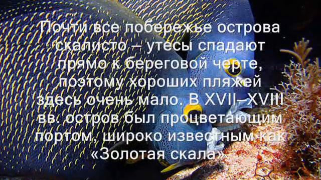 PJ5/K3TRM Остров Синт Эстатиус смотреть онлайн