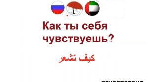 ПРИВЕТСТВИЯ. Разговорник арабского языка. Арабский язык