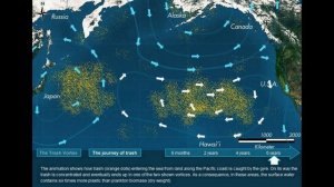 О вреде пластика. Автор Выродова Софья