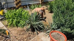 #Анапа МореФест с приусадебного участка