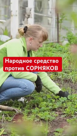 ЗА КОПЕЙКИ! От сорняков избавляет легко и быстро