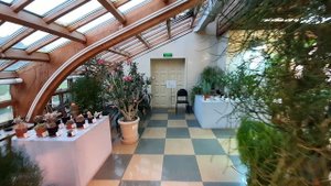 В ВИНОГРАДНОЙ ОРАНЖЕРЕЕ - ЦАРИЦЫНО