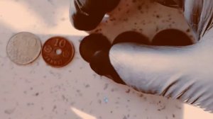 Монеты стран мира № 20. Монеты Финляндии и Исландии.