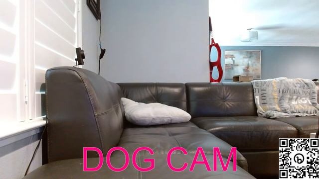 Rhino Tech House Live Stream смотреть онлайн