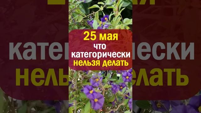 25 мая народный праздник Епифанов день или Рябиновка, Вознесение Господне. Что нельзя делать примет