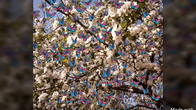 ВЕСНА ПРИРОДА ДЕРЕВЬЯ ЦВЕТУТ SPRING OF THE NATURE OF THE TREES OF FLOWERS