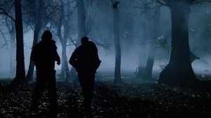 Tool - Stinkfist - Franz Bose Videos