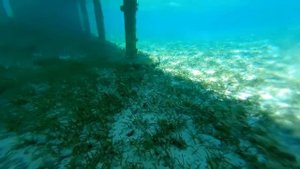 Шарм Эль Шейх 2021 Египет Sea Beach Aqua Park Resort