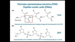 Альтернативная биохимия