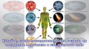 Что происходит, когда плесень попадает в организм