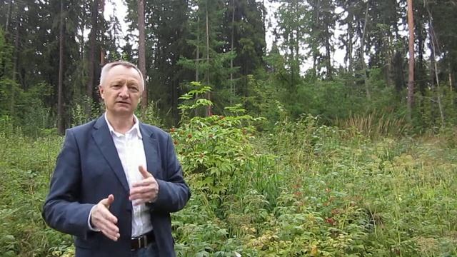 Женское одиночество смотреть онлайн