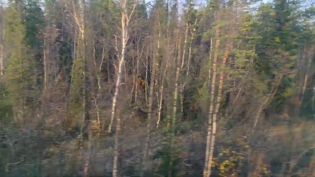 Красота,перед станцией Ягельный Бор! 7.10.2023г.Едем на север! Приятного вам просмотра!??️?? смотреть онлайн