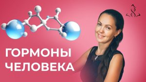 Почему нам нужен холестерин? Как устроена гормональная система